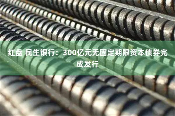 红盘 民生银行:300亿元无固定期限资本债券完成发行